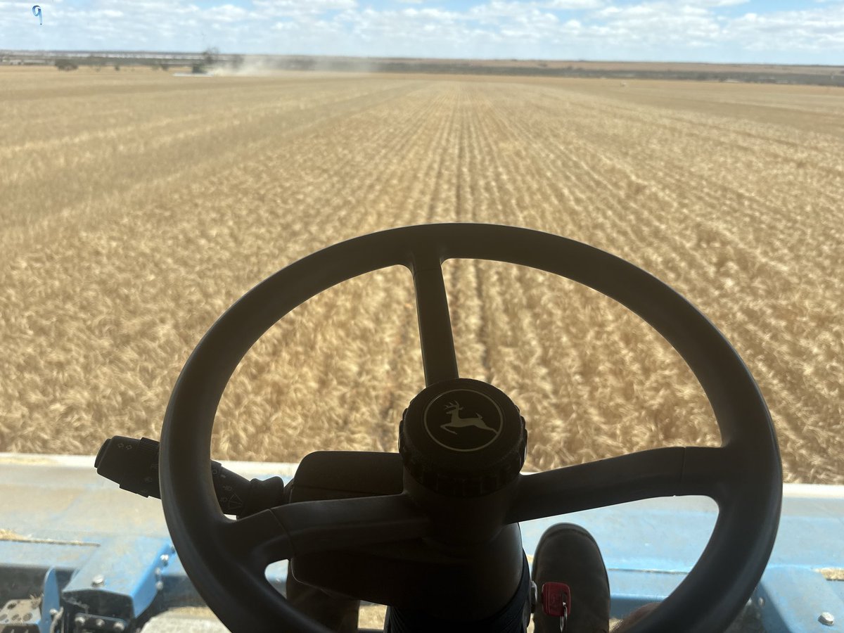 Dylan Hirsch tweet media