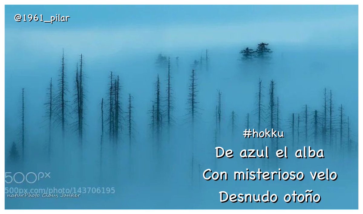 Un nuevo amanecer ¡Buenos días!

De azul el alba...

~hokku~

#LYF15  #VAFlorDePiel