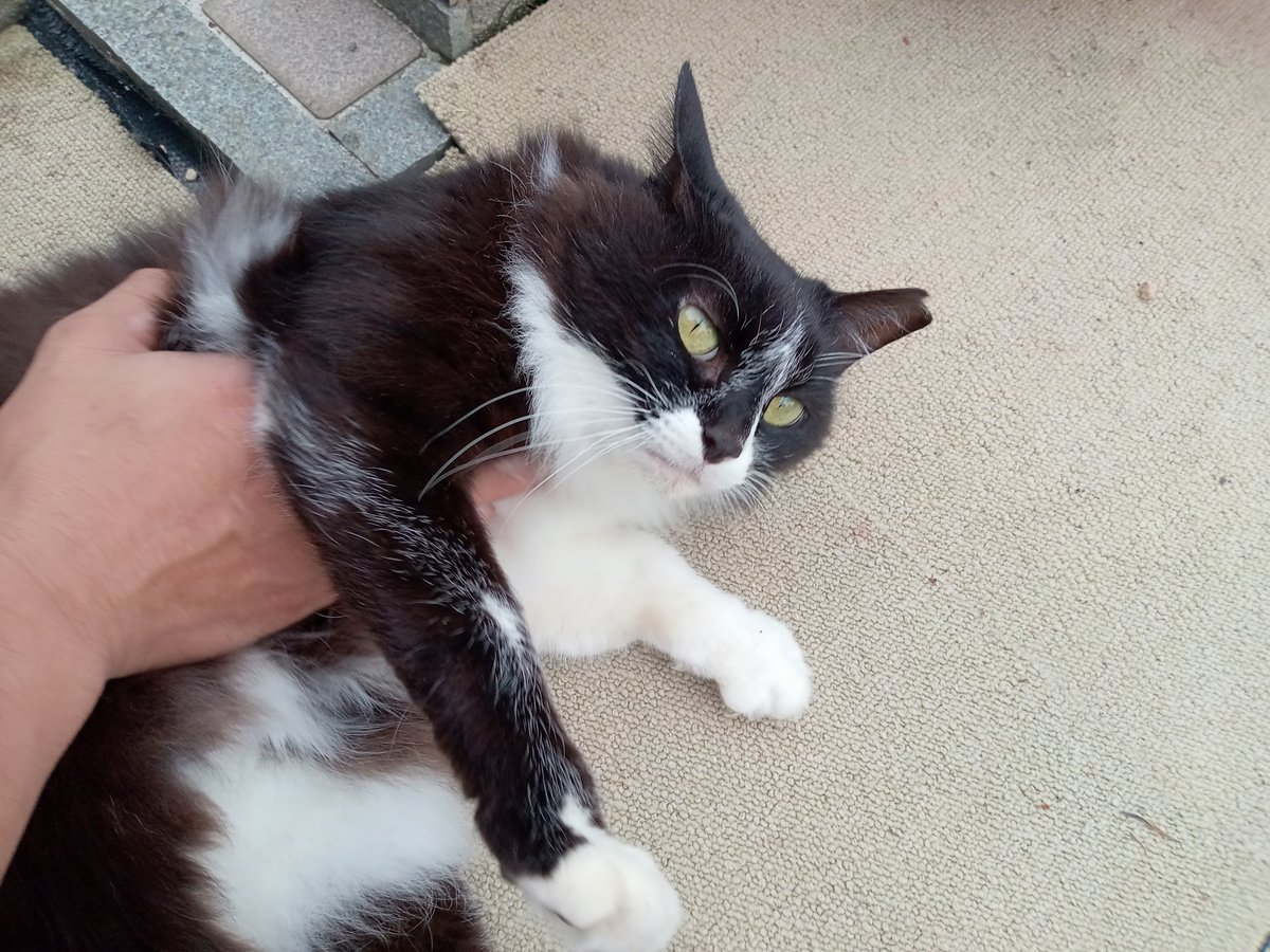 皆さん✨✨✨
こんにちは☁☁☁
お先におつかれちゃんです🤗
クゥちゃん🐈‍⬛ただいま〜
ゆっくりしょ🫠