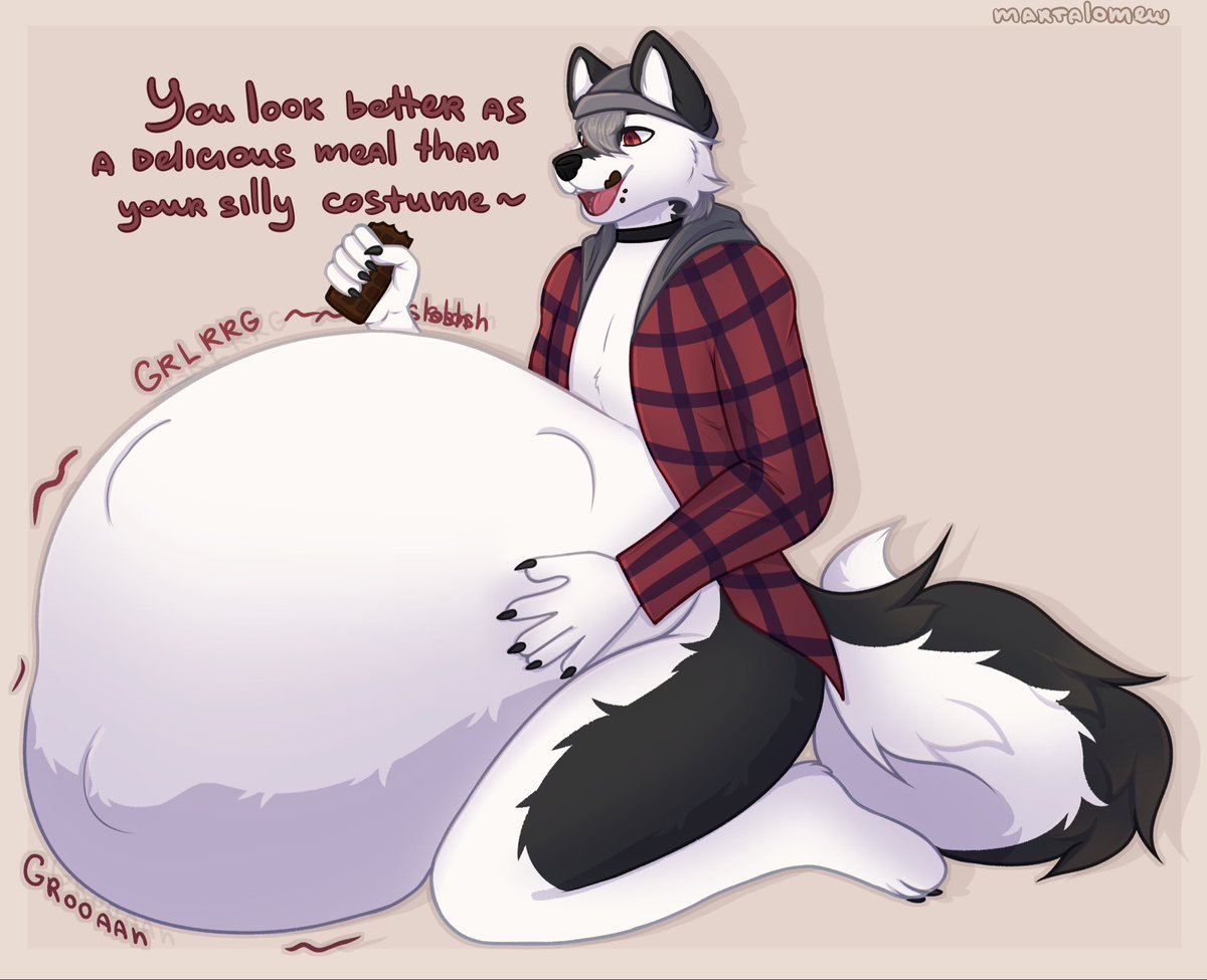 Luca the Siberian Husky tweet media