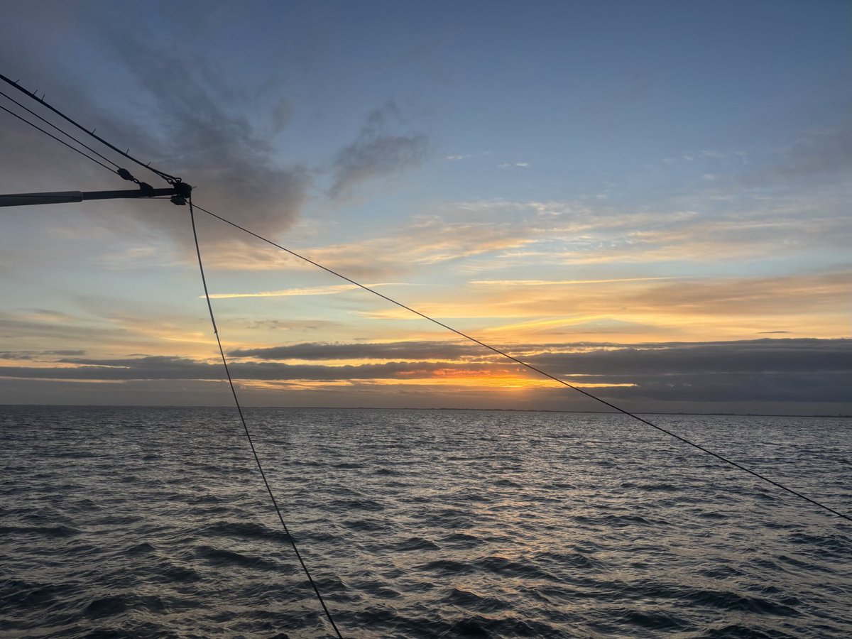 Willem Zwaan tweet media