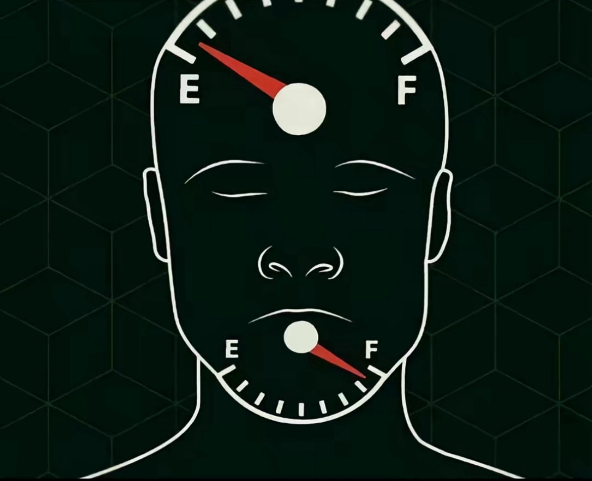 FL1PPER 🎴 tweet media