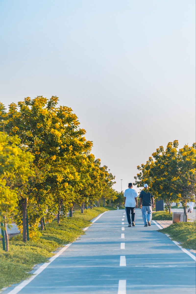 🌼 | ذهبية حائل

                🔅▫️لوحة فنية▫️🔅
 تتداخل فيها الطبيعة مع ملامح الجمال 🌿
         لترسم مشهد #حائل_الأجمل 🖼️
               
📸 | #أمانة_منطقة_حائل
