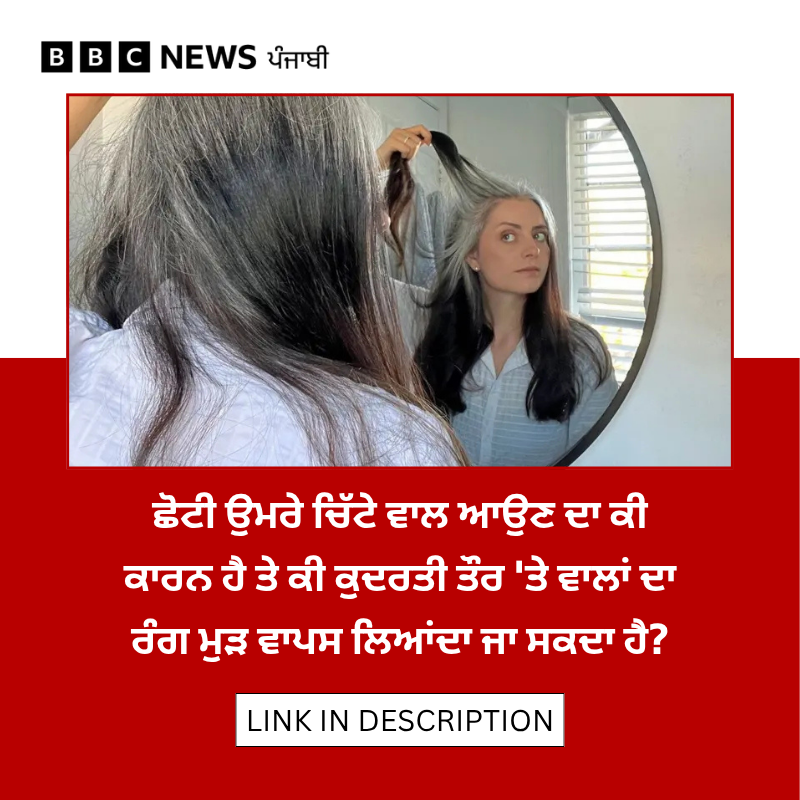 bbcnewspunjabi's tweet photo. Health: ਡਾਕਟਰਾਂ ਮੁਤਾਬਕ ਸਮੇਂ ਤੋਂ ਪਹਿਲਾਂ ਵਾਲ ਚਿੱਟੇ ਹੋਣ ਦੀ ਚਿੰਤਾ ਕਰਨ ਵਾਲੇ ਨੌਜਵਾਨ ਮਰੀਜ਼ਾਂ ਦੀ ਗਿਣਤੀ ਵੱਧ ਰਹੀ ਹੈ। ਜਲਦੀ ਵਾਲ ਚਿੱਟੇ ਹੋਣ ਦਾ ਸਭ ਤੋਂ ਵੱਡਾ ਕਾਰਨ ਕੀ ਹੈ? ਪੜ੍ਹੋ: https://t.co/bKz8YW8KRv
#whitehair #hairproblems #hairhealth https://t.co/7OMzb7FDik