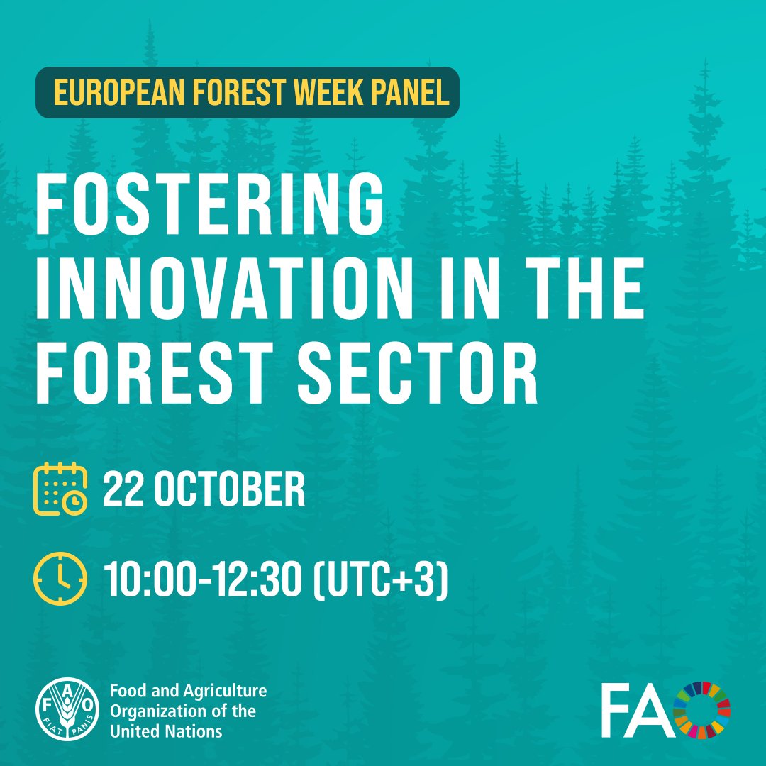FAOForestry's tweet photo. Starting soon! Join an #IFIW panel Fostering Innovation in the Forest Sector
📍22 October
🕒 10:00–12:30 UTC+3
🔗 https://t.co/oL5p3vSY4E
@FAOTurkiye @ifisocial #EFW2025 https://t.co/2fOQg3qDdm