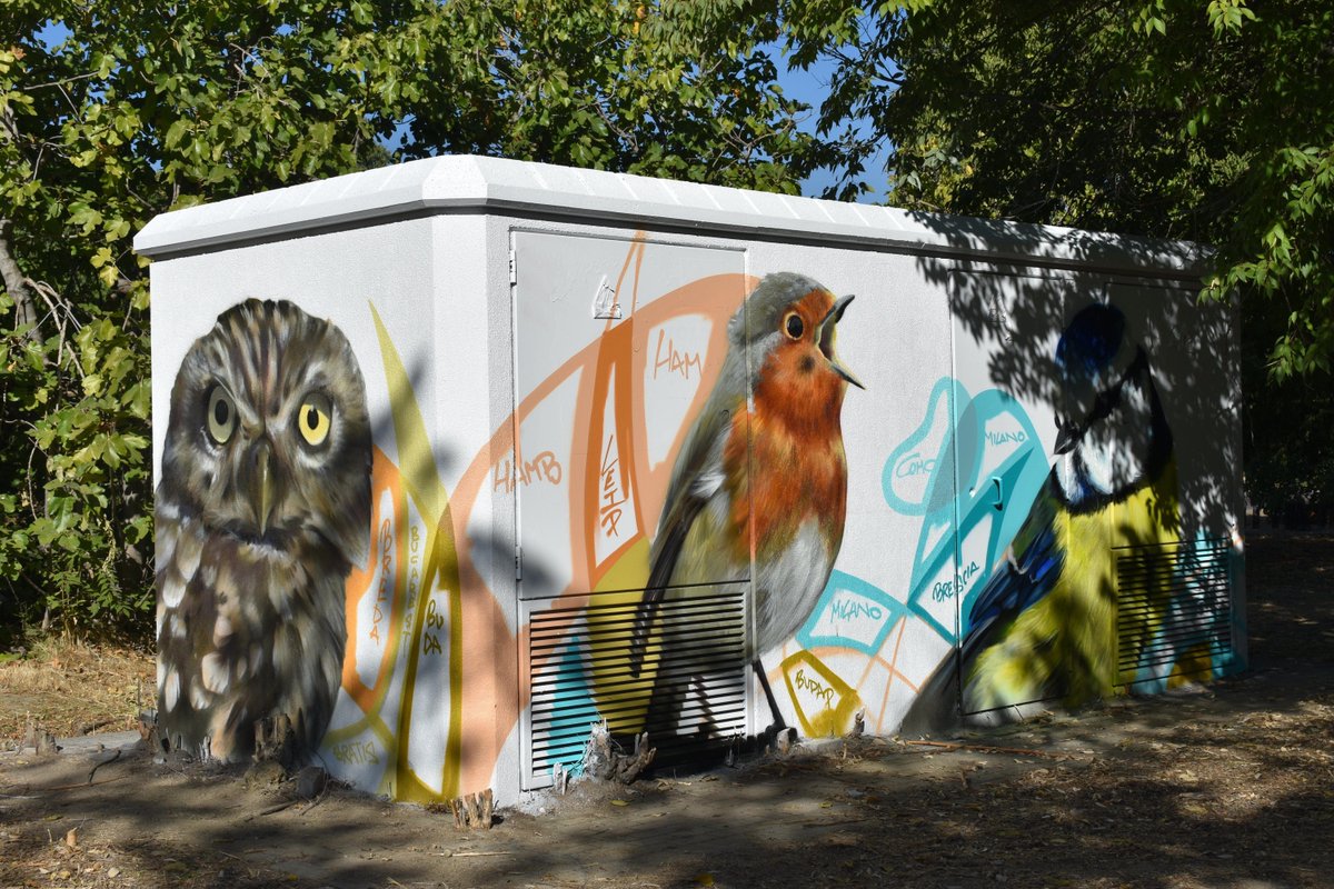 SEO_BirdLife's tweet image. 🎨 Dentro del programa #PintoenVerde, se han realizado dos nuevos murales que promueven el conocimiento sobre la convivencia entre especies.

Te lo contamos👉f.mtr.cool/nhkexrhxod

@FBiodiversidad @AytoPinto #ProyectosPRTR #NextGeneration #Pinto #PlandeRecuperación