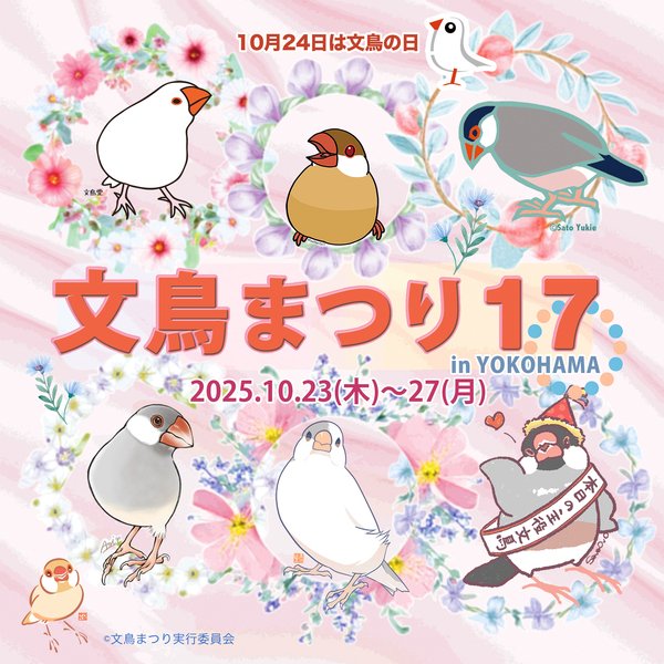 明日からスタートする #文鳥まつり17 に
バードモア も参加いたします！

文鳥モチーフの作品が大集合！
今年はさらにパワーアップして
占いや縁日コーナーなどのイベントコーナーも♪
ぜひ遊びに来てくださいね☺️

📍日時
2025年10/23(木)〜27(月)

📍場所
横浜モアーズ　ハンズ横浜店　屋上特設会場