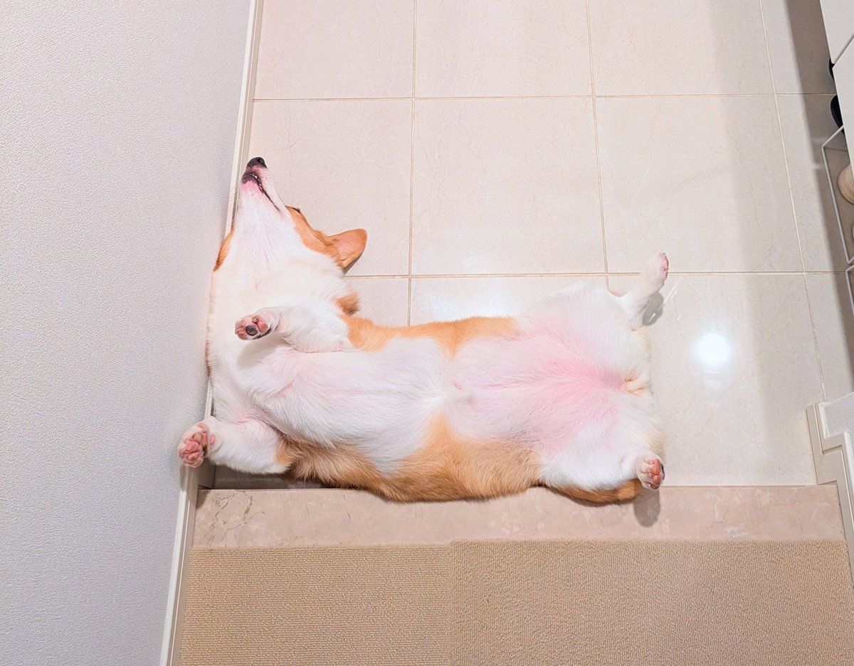 ←←パピ期のテトリスブロック

                    現在のテトリスブロック→→