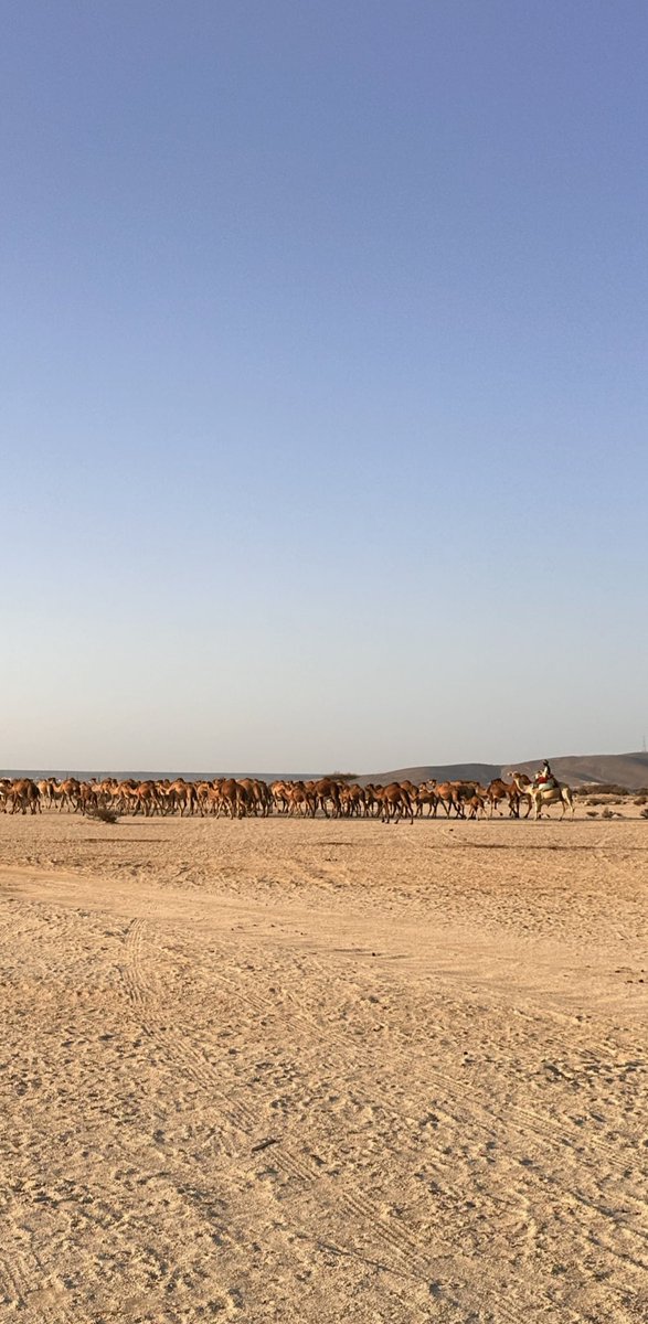 أَفَلَا يَنظُرُونَ إِلَى الْإِبِلِ كَيْفَ خُلِقَتْ (17) وَإِلَى السَّمَاءِ كَيْفَ رُفِعَتْ (18) وَإِلَى الْجِبَالِ كَيْفَ نُصِبَتْ (19) وَإِلَى الْأَرْضِ كَيْفَ سُطِحَتْ (20)

لماذا في كل مره تعاد كيف؟
كيف خلقت
كيف رفعت
كيف نصبت
كيف سطحت