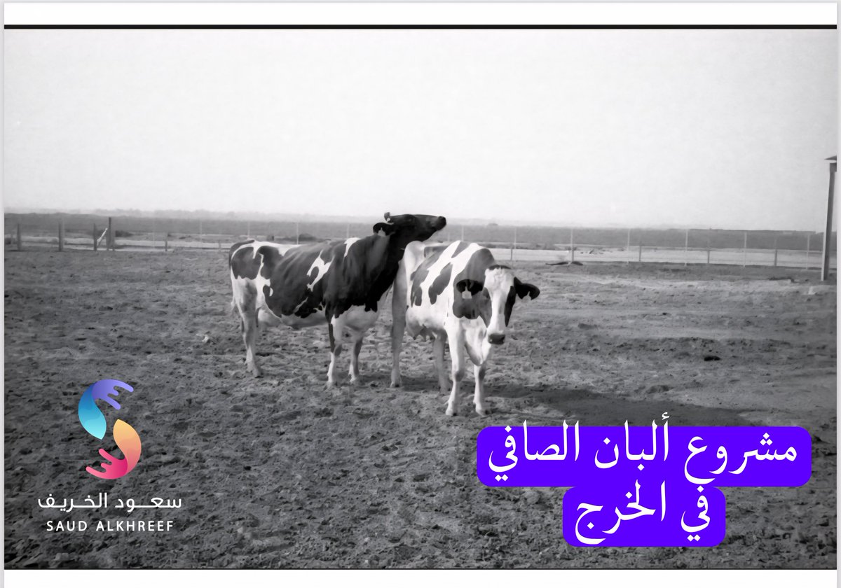 #الخرج
#ذاكرة_الخرج

مشروع ألبان الصافي في الخرج 

<a href="/MEWA_KSA/">وزارة البيئة والمياه والزراعة</a>