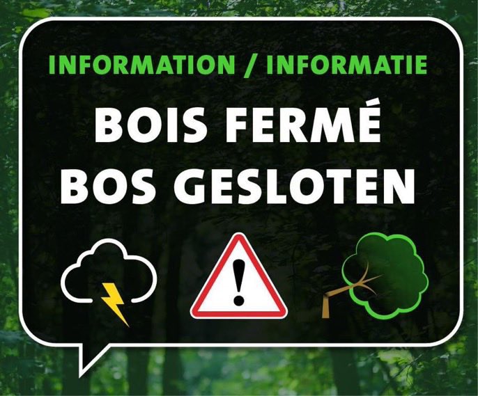 zpz_polbru's tweet image. ⚠️ Wegens de slechte weersvoorspellingen wordt het Ter Kamerenbos🌳donderdag vanaf 10u gesloten tot vrijdagochtend 6u #Brussel 
⚠️ En raison de mauvaises prévisions météorologiques, le Bois de la Cambre🌳sera fermé ce jeudi à partir de 10h jusqu’à vendredi matin à 6h #Bruxelles