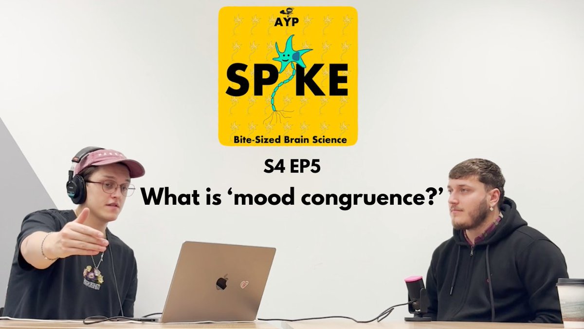 AYP Today tweet media