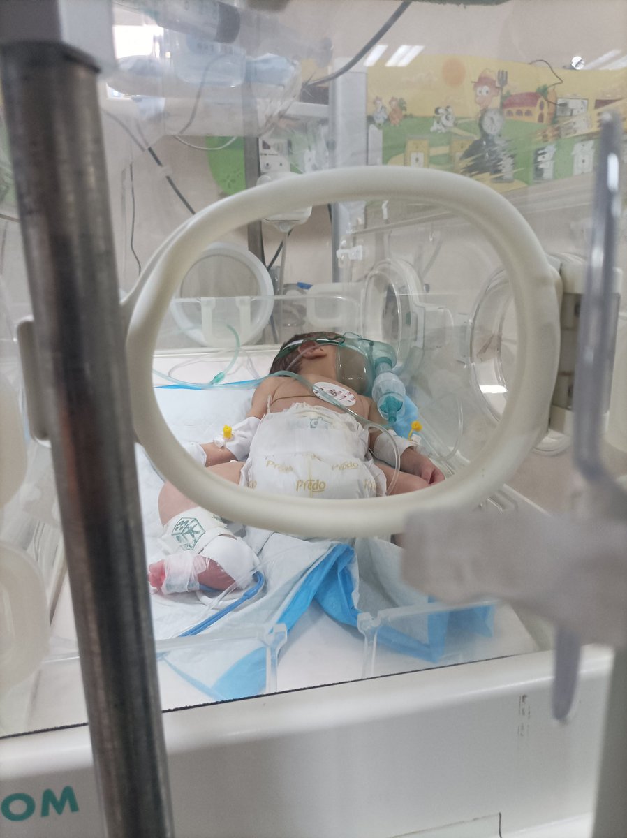 STOP You are not selfish‼️
My nephew, 72 hours old after birth, can't breastfeed from her mother. And I have to buy milk for him and diapers. 

If you care about this Please Donate and Reply with a dot, just a dot

gofund.me/401e9e0c
Or
paypal.me/mohajayyab