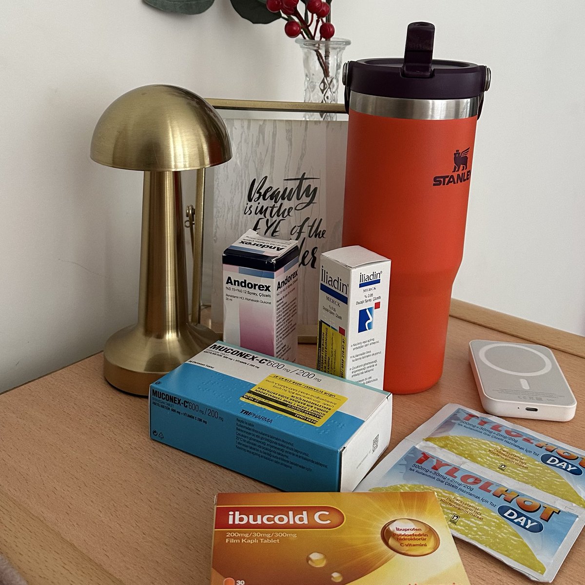 Kuşlar ne olur beni de alın kuşlar’’