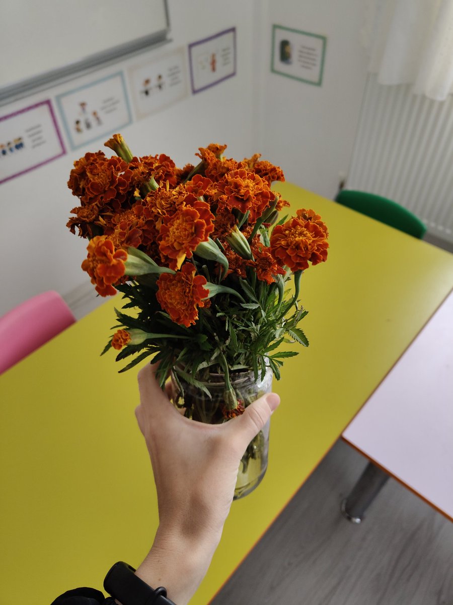 Dalından koparıldığı ilk gün ne kadar güzeldi, hiç solmayacakmış gibi. Güzel olan her şeyin sonu böyledir. artık buna inanıyorum. Çöp