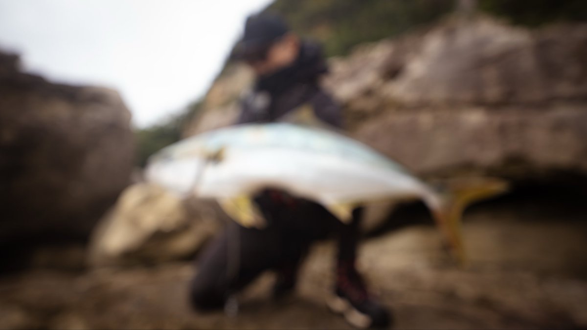 NALUSanglers's tweet photo. こちらは35万円のカメラで撮影したヒラマサのブツ持ち写真です。やっぱ高いカメラはちげーな！！！！！！！！！ https://t.co/rhRxAyYyfo