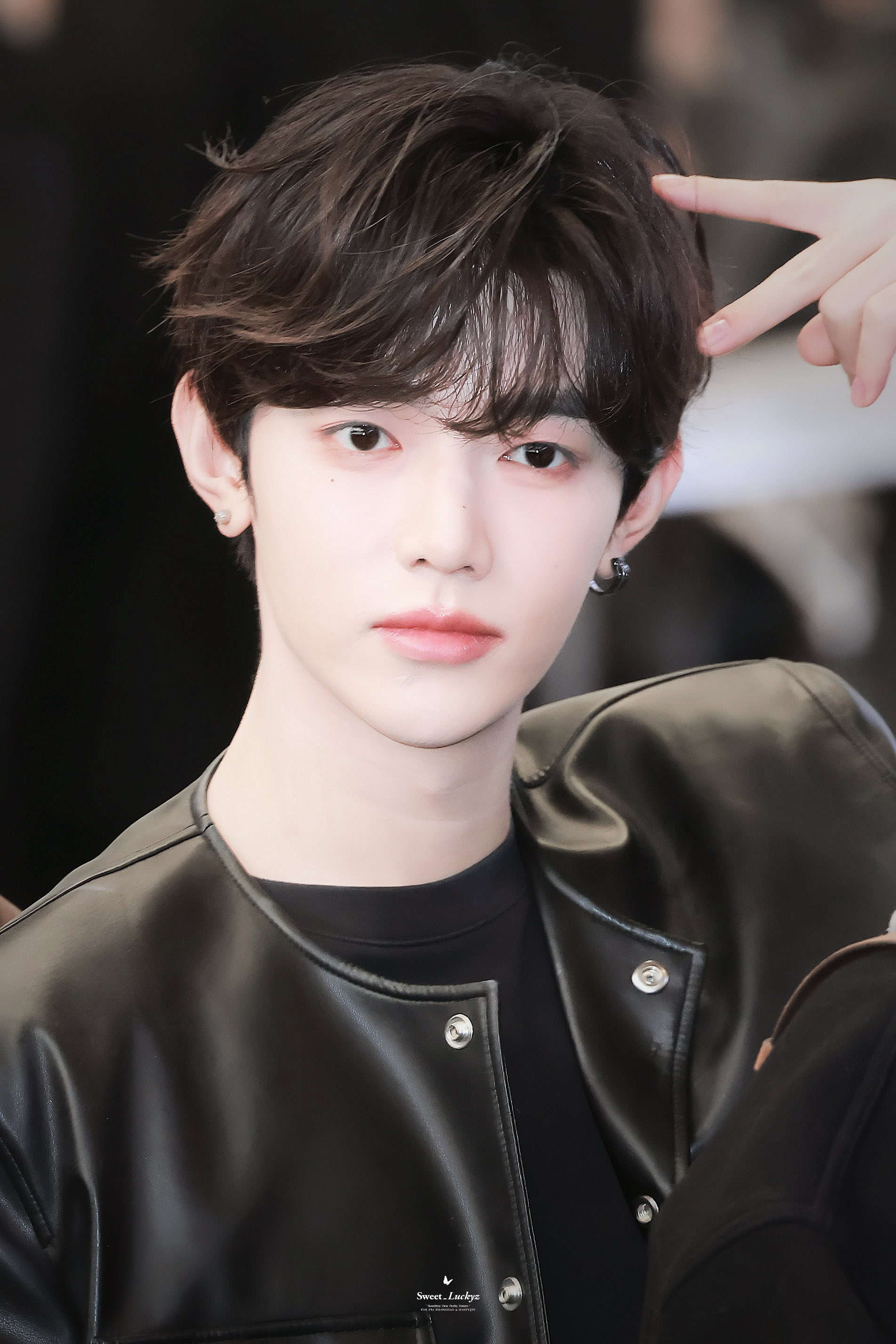 ⭐︎シャン⭐︎ San Jose Zip Code Map : r/SanJose