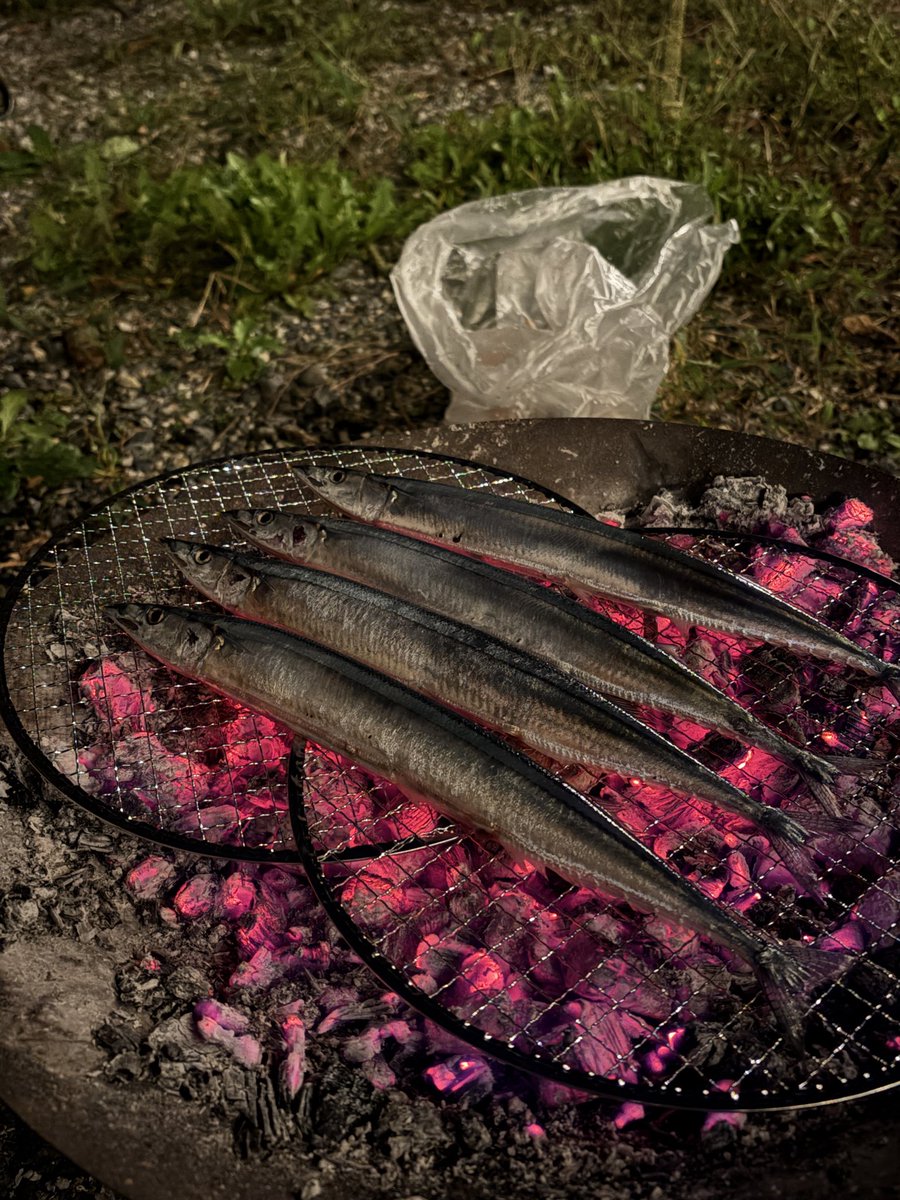 K19Ez's tweet photo. この後寒すぎてサウナ内で秋刀魚食った！ https://t.co/GRsAoKJEpy