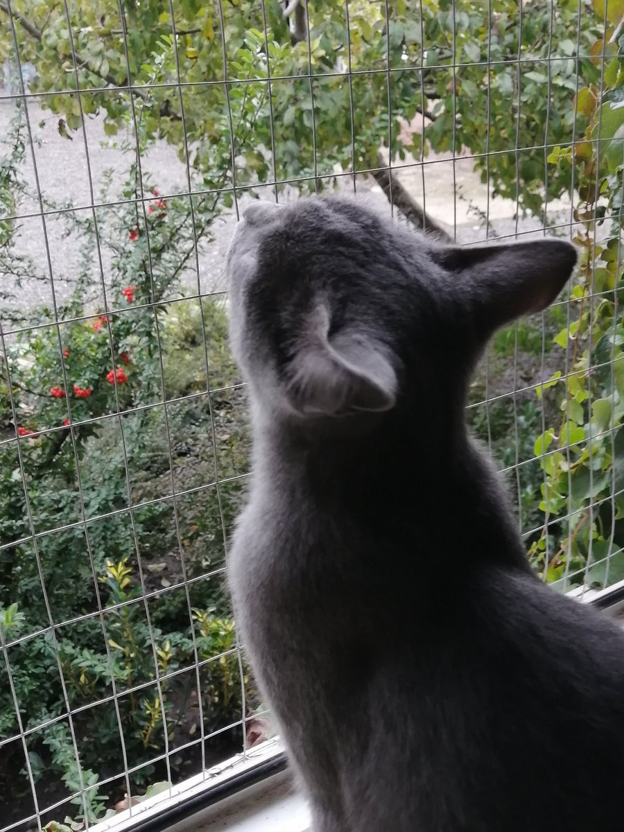 Сегодня теплее, домик можно немного проветрить)