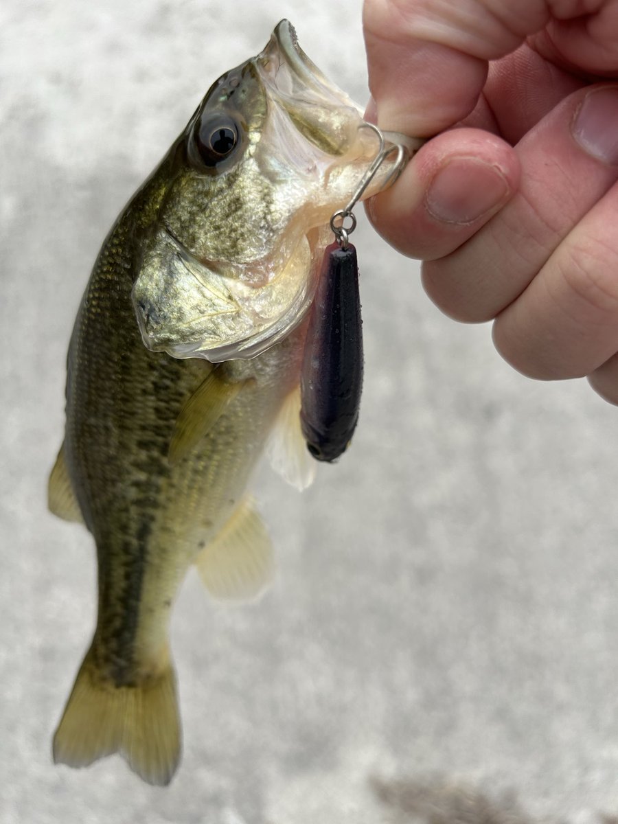 流真 預購】ZX 1/6 流川楓玩具給庫