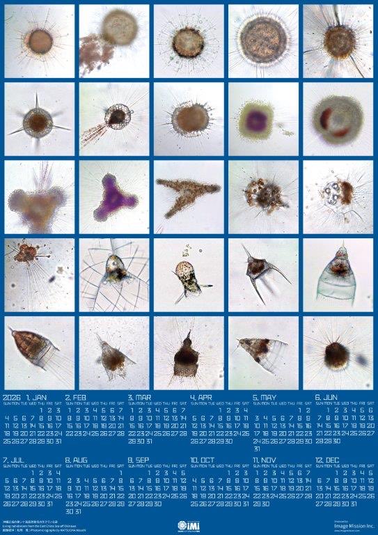 cot_not (@cot_not) / Posts / X