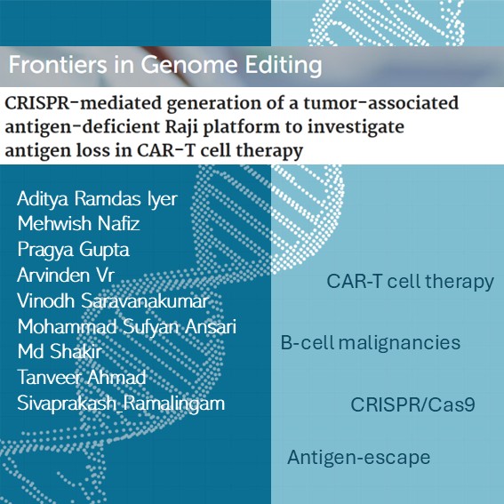 mfcem_iitk's tweet image. A study by Prof Sivaprakash Ramalingam &amp;amp; team displaying a valuable resource of TAA-knock out lymphoma cell lines to investigate CAR-T cell resistance &amp;amp;  explore  next generation CAR-T therapies. 
pubmed.ncbi.nlm.nih.gov/41089529/
@MehtaFF @BSBEIITK1 #genetherapy #biomedicalscience
