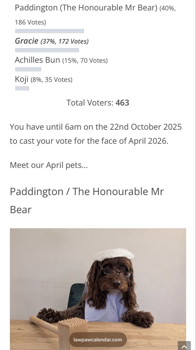 Want to say a massive thank you to all who voted, only 15 short in the end! I’ll still be featured somewhere on the calendar so everyone’s a winner - and I have to say, that photo of Paddington’s is a classic 🤩 have a lovely day! 🐾🤩