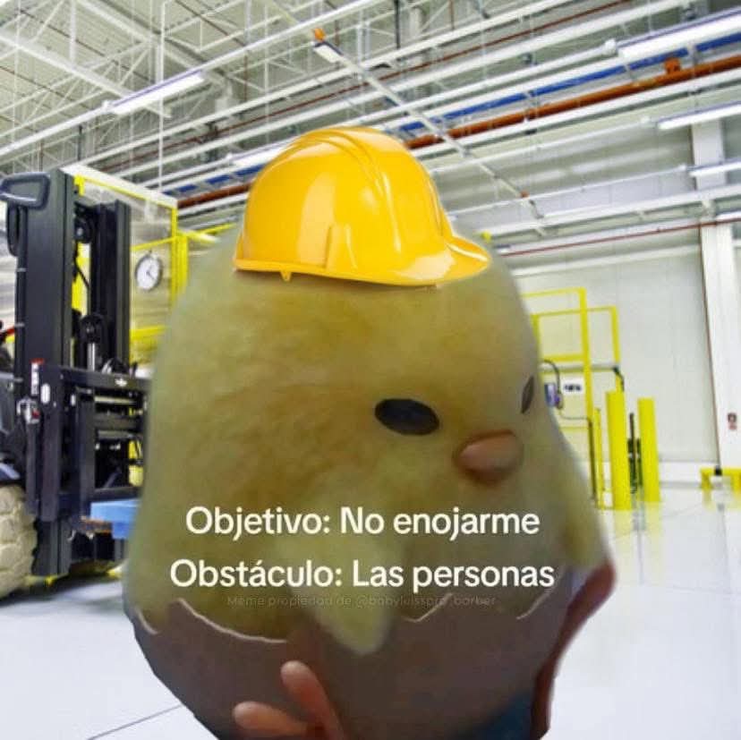 En Júpiter (@en_jupiter_) on Twitter photo 