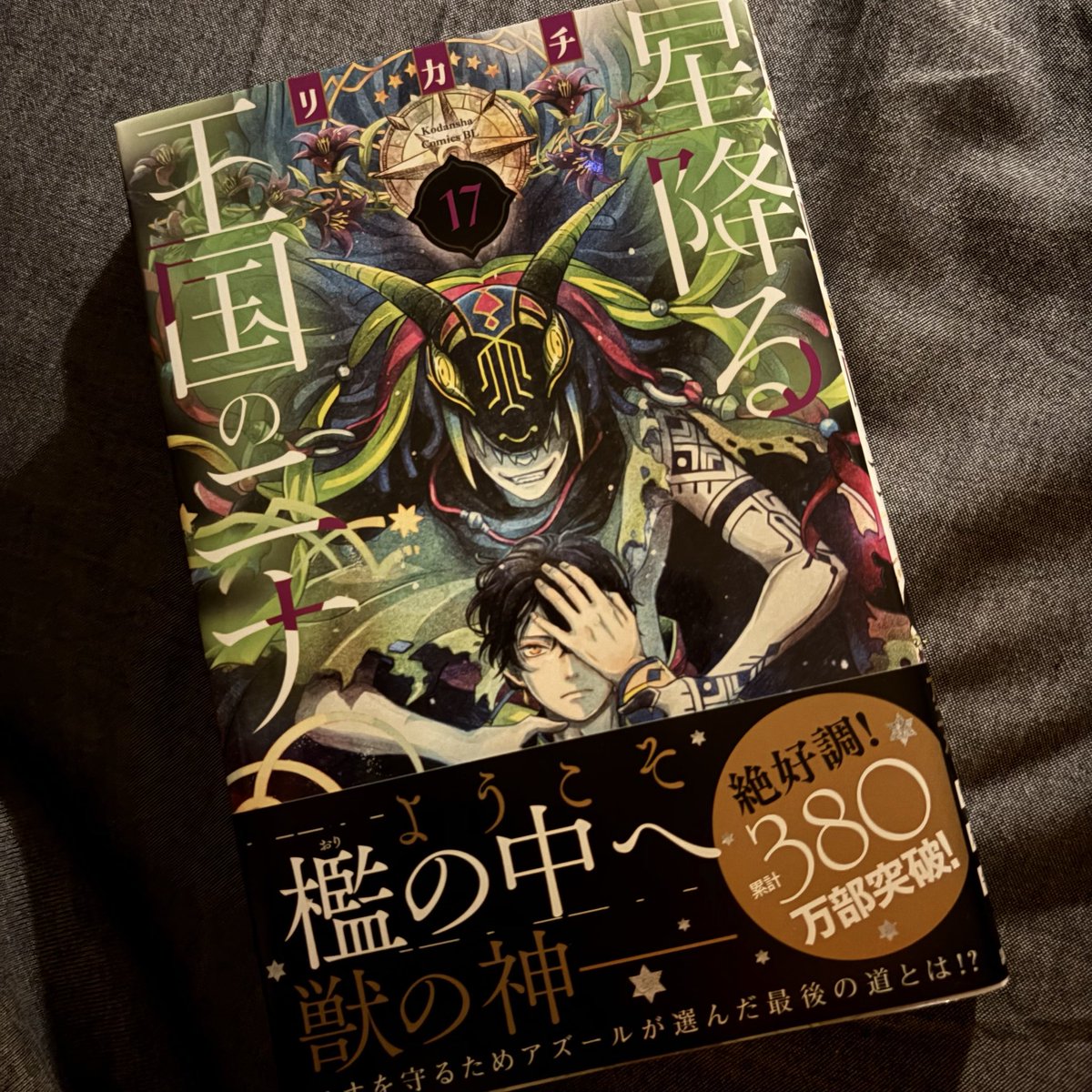 星降る王国のニナ(17) 星降る王国のニナ(17) (BE LOVE KC) | リカチ |本 | 通販 | Amazon