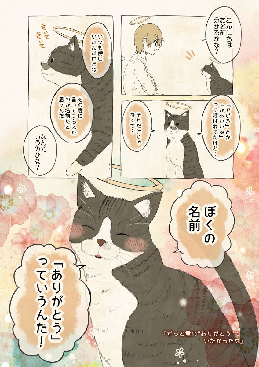 自分の名前を勘違いしている猫