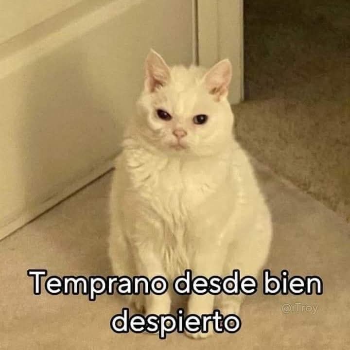 En Júpiter (@en_jupiter_) on Twitter photo 