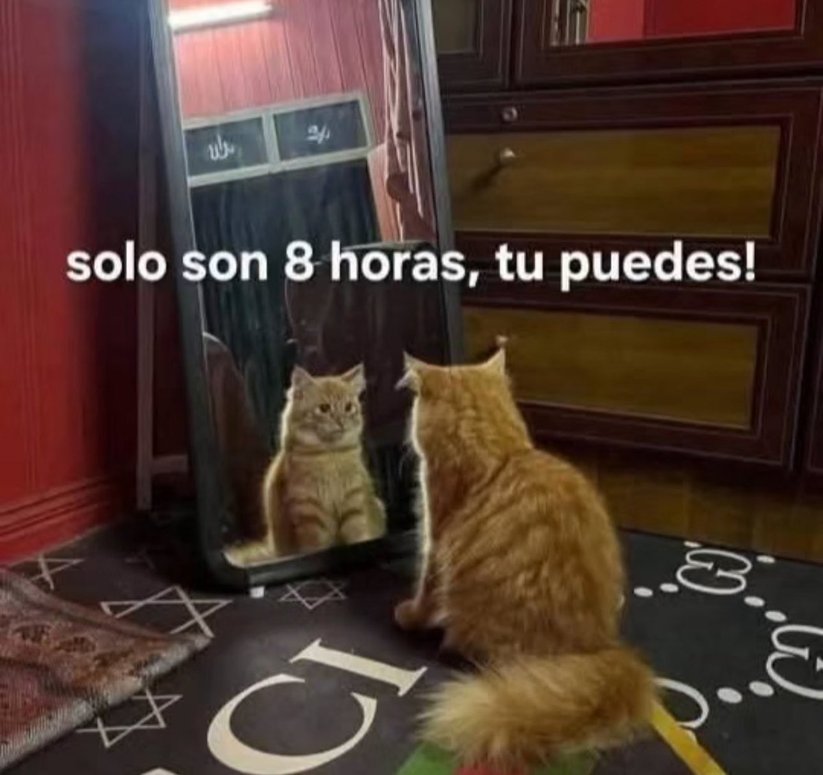piña sin pizza (@skereunpesado) on Twitter photo 