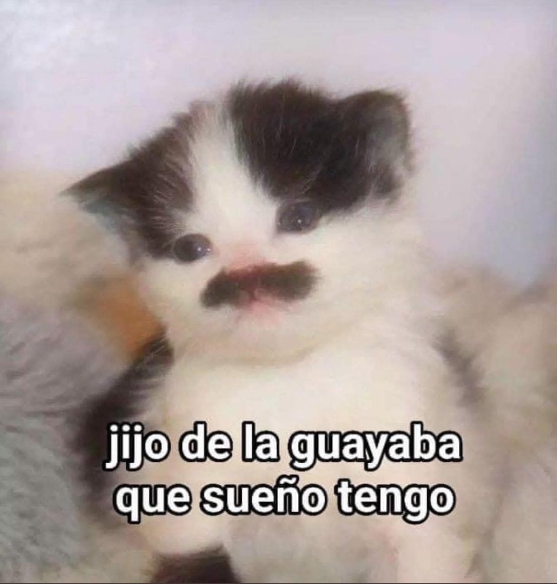 En Júpiter (@en_jupiter_) on Twitter photo 