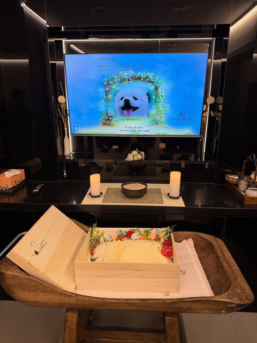 zhaoguixian's tweet photo. [FULL TRANS] 251022 Jongjin IG post

“our maknae Melo suddenly left us at 2AM today.”
“Melo, you were such a gentle dog. even the way you left was calm and peaceful.”

🐾🌈🤍 https://t.co/6o9jf1WIhx