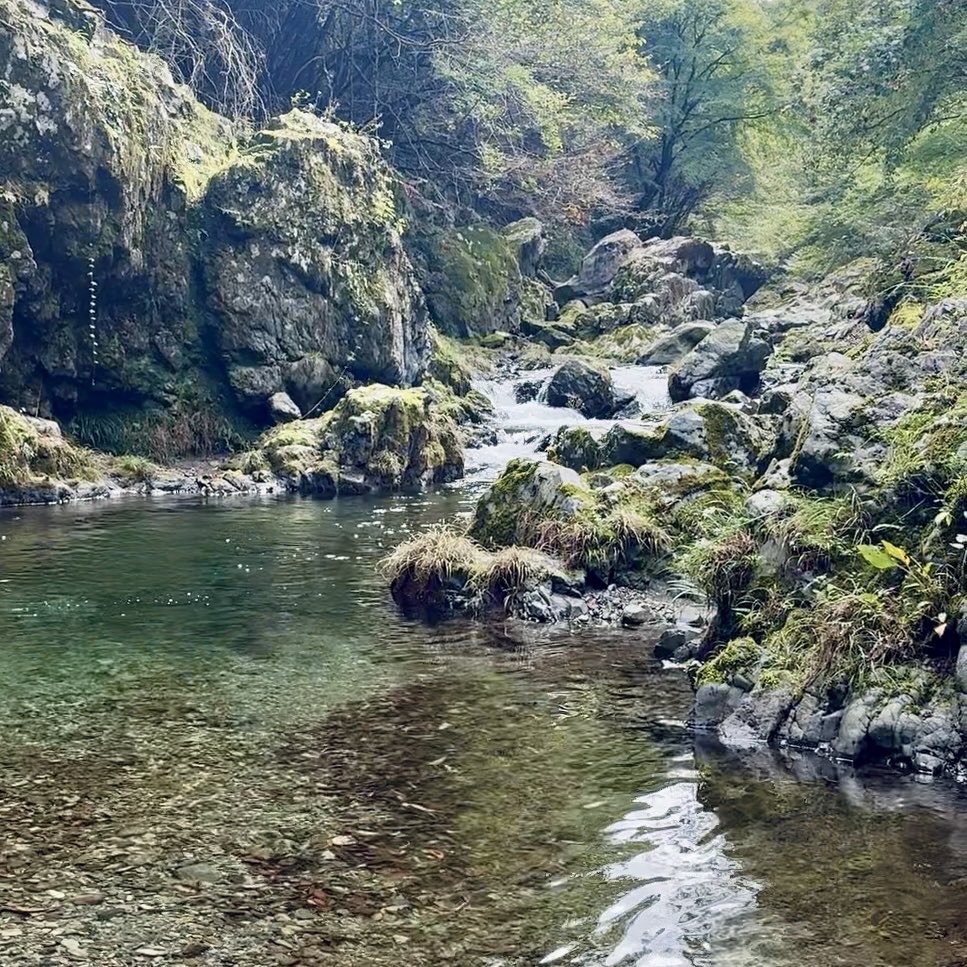 S_STARTUPOASIS's tweet image. OASISメンバーで1DAY合宿してきました!
日常とは環境を変えて自然の中へ🏕️
焚き火、サウナ、川の水風呂も満喫しながら
OASISのこれからについてがっつり語り合い。
チーム目線合わせていくための時間を定期的に設けるの、大事ですよね😆
@hassy0607