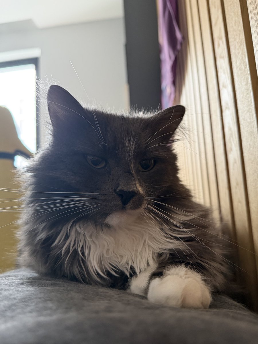 Коли проспав весь обстріл і абсолютно пофіг на ті проблеми шкіряних з електрикою)