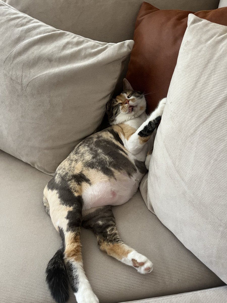 tafraaaa's tweet photo. Bu dünyadan ayrılırken bana sorarlar neler yaptın diye mesela🥰 https://t.co/8nU56CC61h