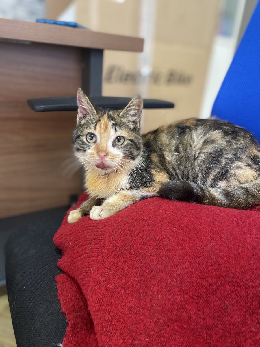 tafraaaa's tweet photo. Bu dünyadan ayrılırken bana sorarlar neler yaptın diye mesela🥰 https://t.co/8nU56CC61h