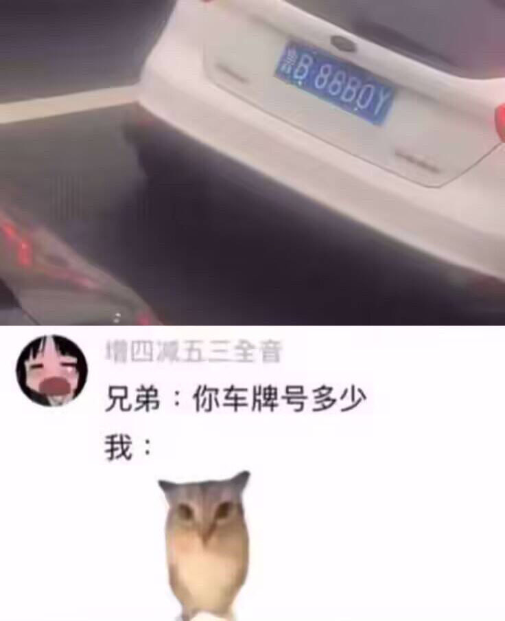 雲鳩 tweet media