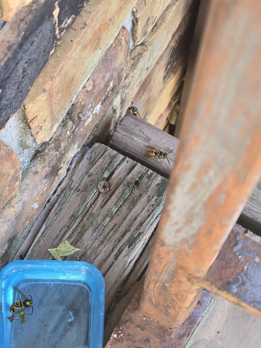 Yui Uzuki🍥 tweet media