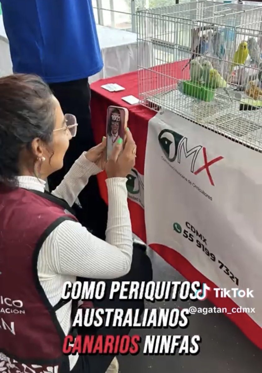 Morena Mía tweet media