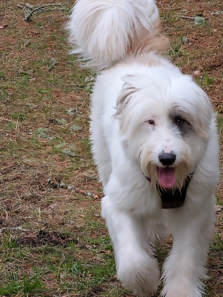 My life whilst the boys are away. #4 will be going with my soon to be ex as soon as the house sells.