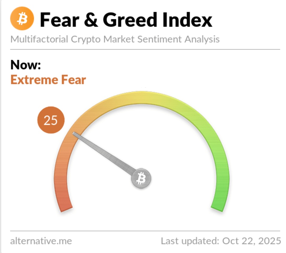 Global crypto fear and greed index hits 25/100 ( Extreme fear)