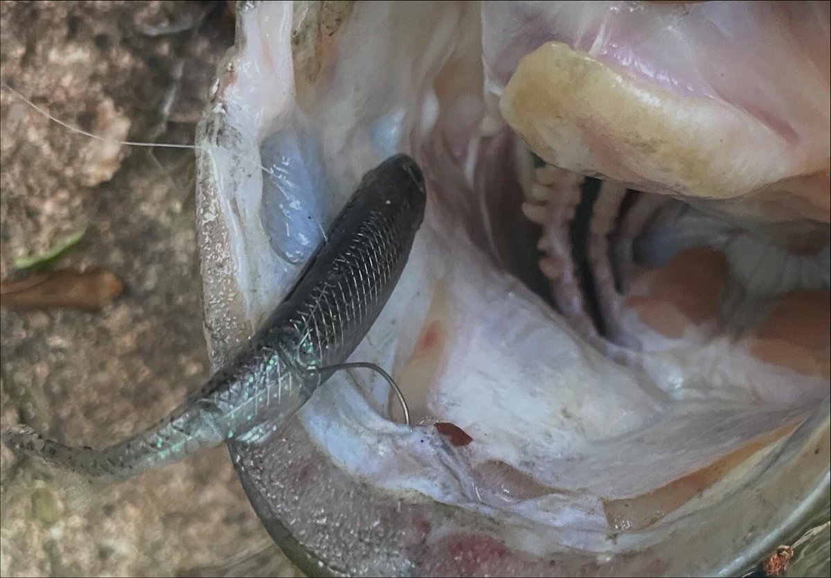 村上晴彦 - Search / X