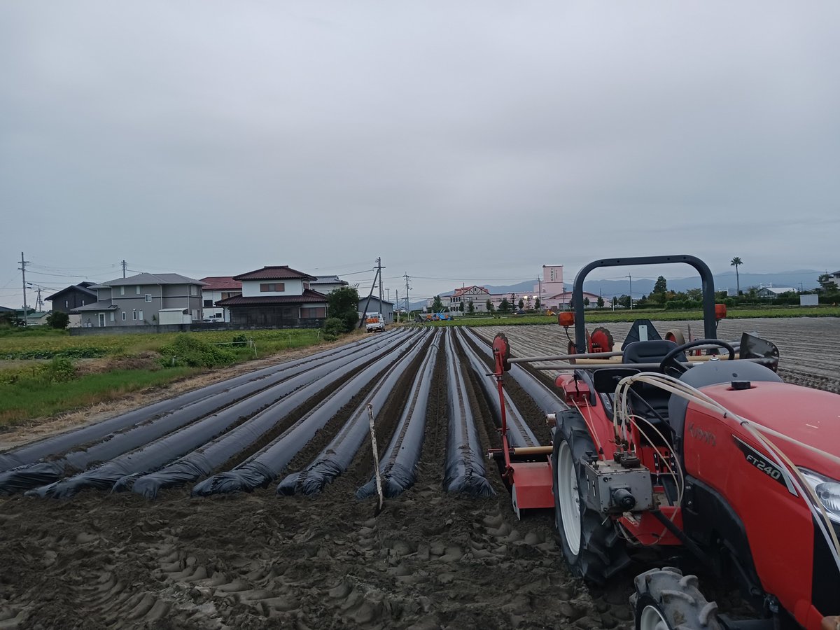 イモホッテプさんからの画像届いたよ！