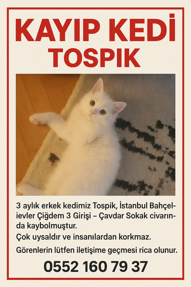 ilkNurKrhn's tweet image. 🚨 KAYIP KEDİ – ACİL YARDIM 🚨
Özel gereksinimli çocuğumuzun kedisi Tospik kayboldu.Sadece bir kedi değil, çocuğumuzun en yakın dostu 💔görenlerin lütfen bizimle iletişime geçmesini rica ediyoruz.
Lütfen paylaşarak bize ulaşmasına yardımcı olun 🙏
@Mugeanliatvde @atvcomtr #kayıp