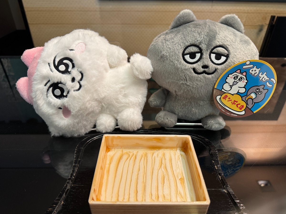 【未開封】ンめねこ うすくろ 【受注生産品】 ンめねこ クッション（うすくろ）