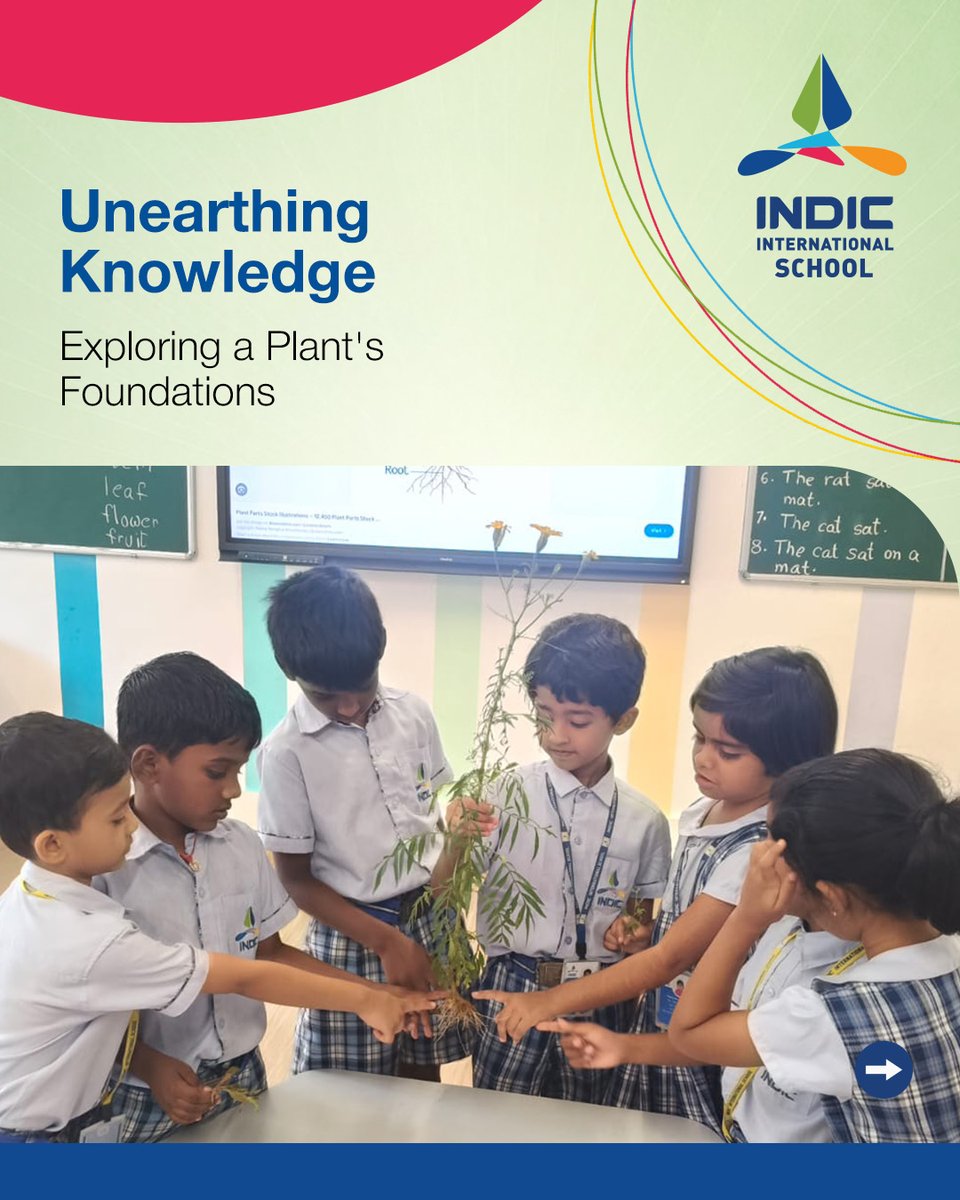 IndicSchools's tweet image. Where curiosity takes root and learning blooms! Students of Indic International School stepped outdoors to explore the fascinating world of plants—observing, identifying, and understanding every leaf, stem, and root.

#indicinternationalschool #learningthroughnature…
