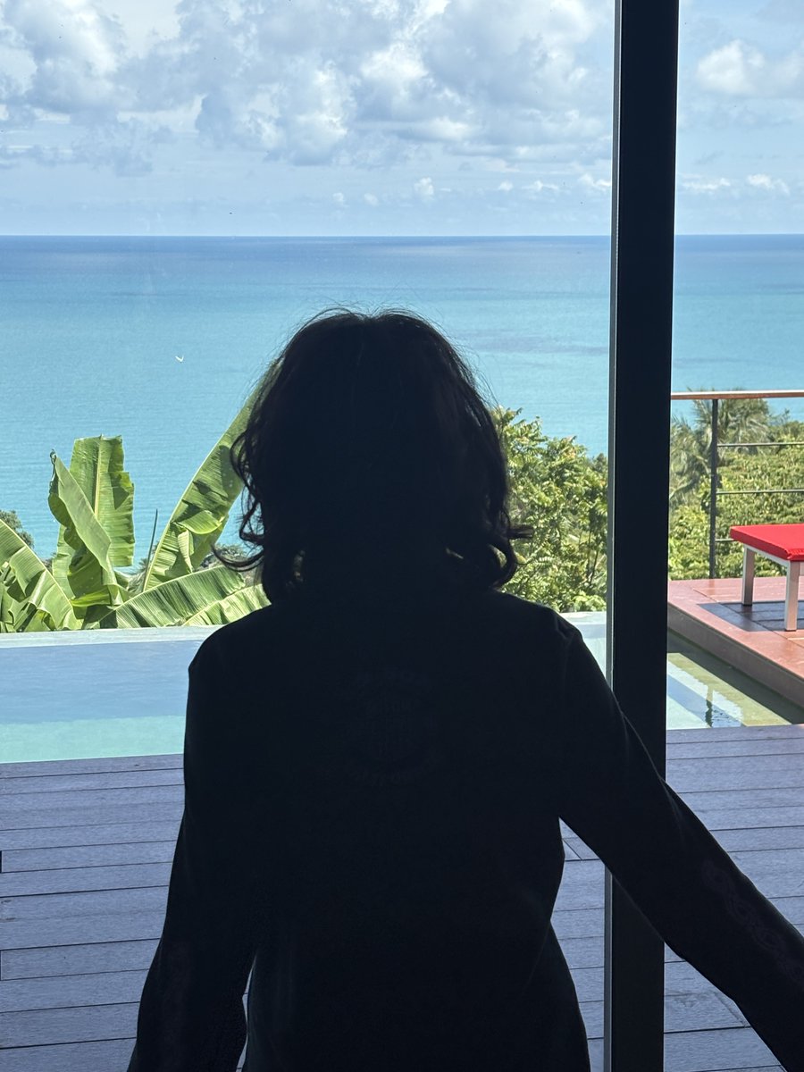 nomoreangelwave's tweet image. this is the view that $270 monthly get you in thailand btw
