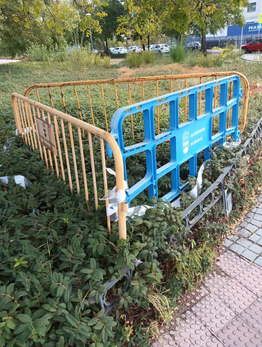 A.V. Fuente Cisneros tweet media